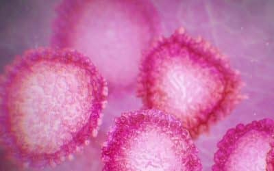 Hinweise zu COVID-19