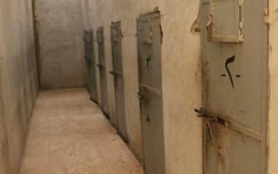 Syrien: Politische Gefangene müssen umgehend freigelassen werden