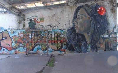 European Parliamentarians’ Joint Letter to President El Sisi