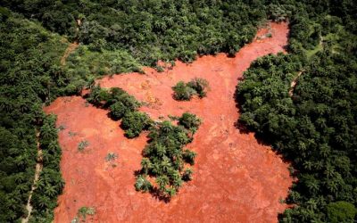 Brasilien: Keine Amnestie für Landräuber im Amazonas