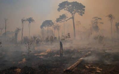 Bolsonaros Waldpolitik: Der Brandstifter erpresst die Feuerwehr